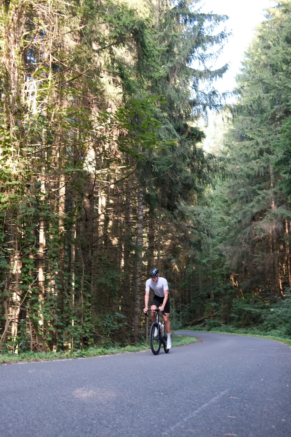 Radtraining im Wald